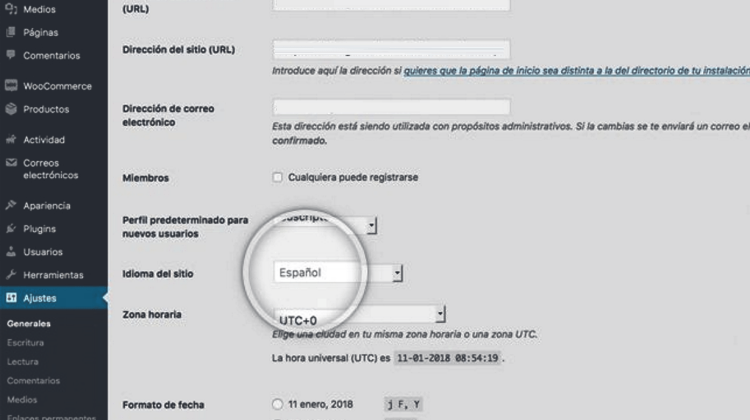 Ajustes WordPress