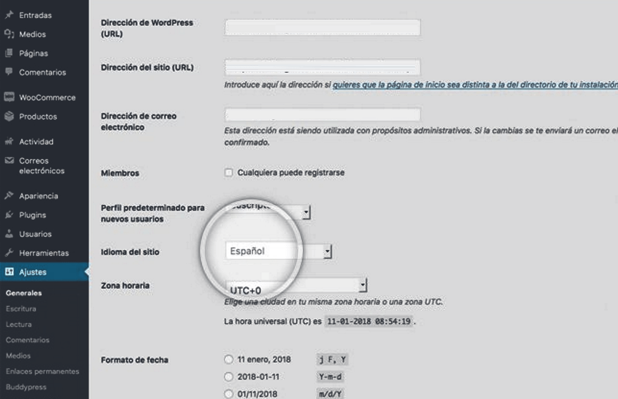 Ajustes WordPress